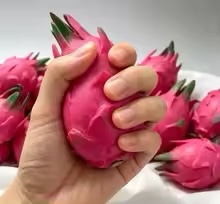 Handmade Simulation Pitaya Bui - огляд і ціна Building Blocks